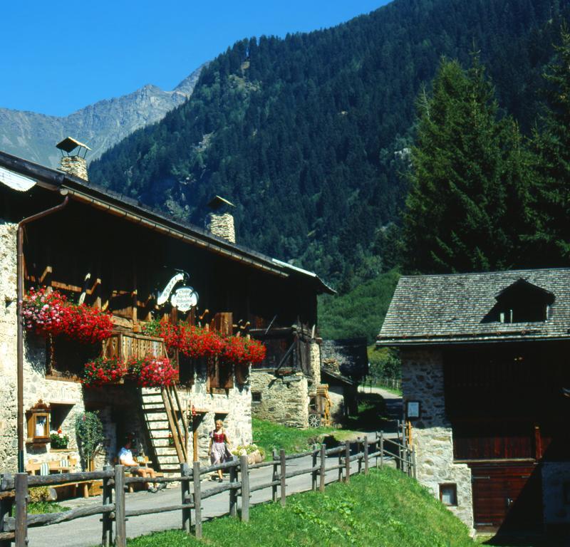 Chalet Alpenrose Bio Wellness Naturhotel Cogolo Exterior foto