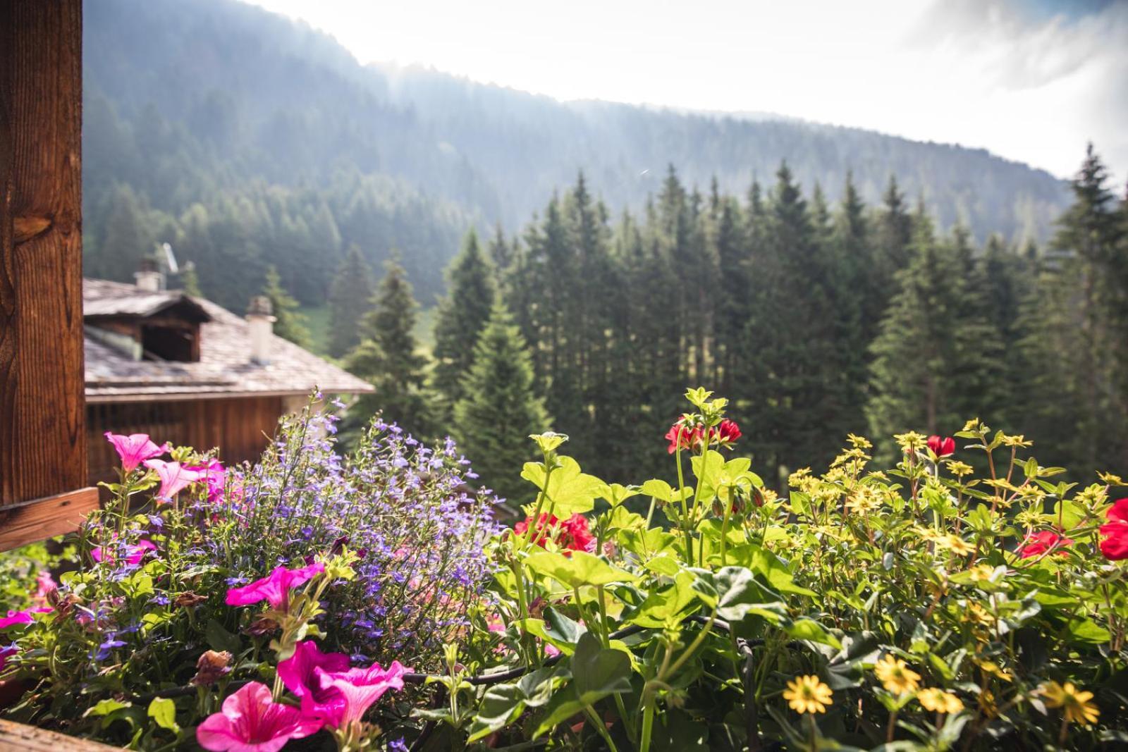 Chalet Alpenrose Bio Wellness Naturhotel Cogolo Exterior foto
