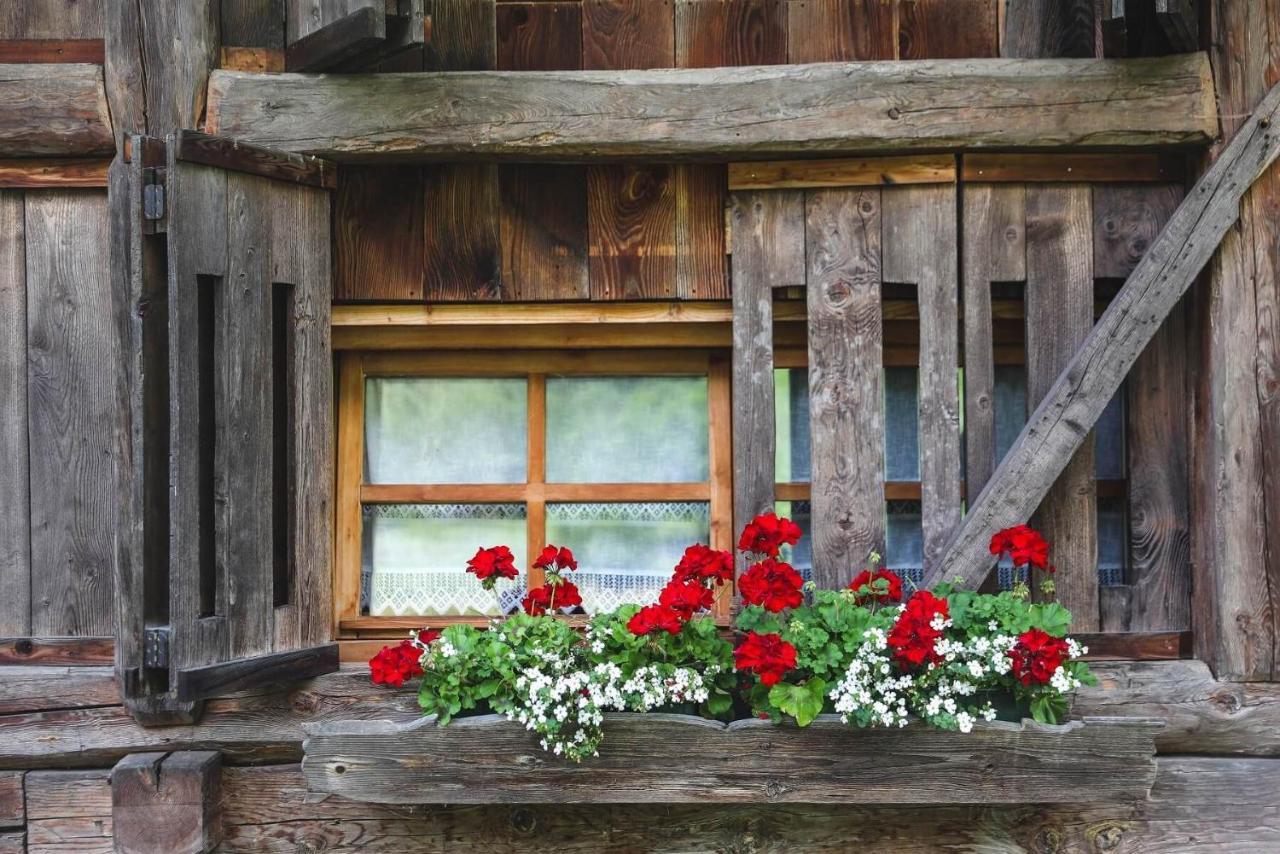Chalet Alpenrose Bio Wellness Naturhotel Cogolo Exterior foto